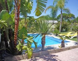 Villa Pinar Roche